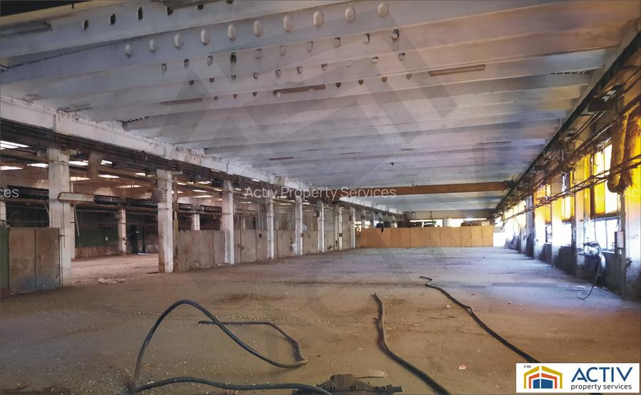 Spatiu Industrial de inchiriat Brasov- Codlea - 3