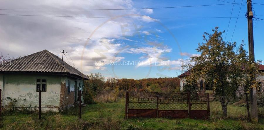 Teren intravilan 6975 mp front stradal 47.70 m in Mosoaia Arges si padure bonus - 5