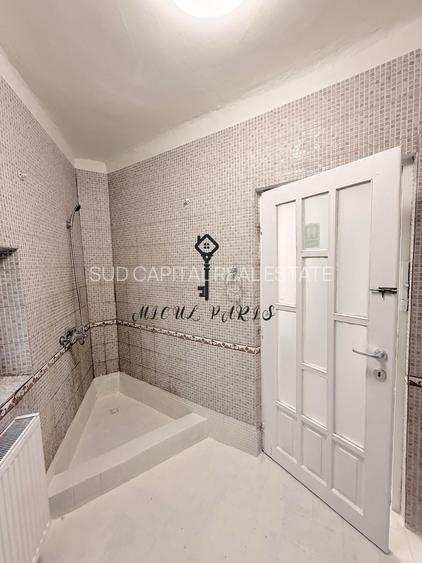 Vilă de  la Podul Grant – 250 mp + 100 mp curte - 20