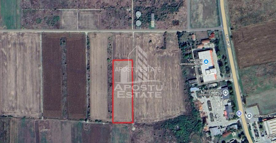 Teren intravilan de vânzare – Sânnicolau Mare, județul Timiș - 8