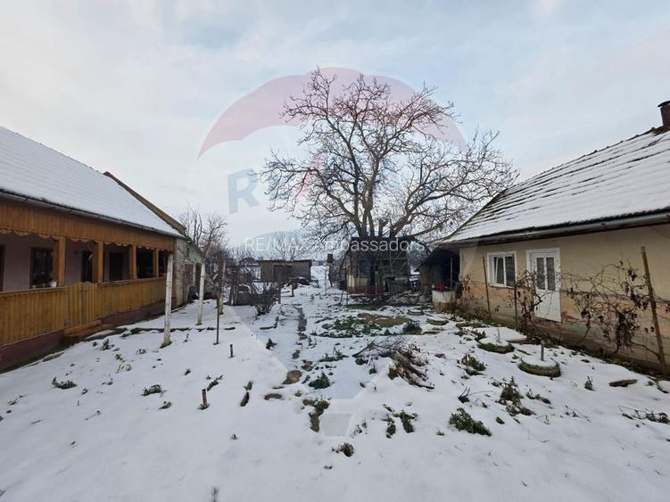 Gospodarie de vanzare in Giulvaz, judetul Timis - 3