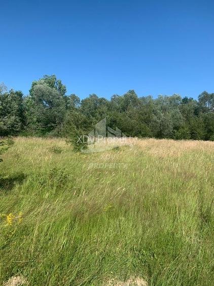 Teren in zona turistica Porumbacu de Sus, 4600 mp - 2