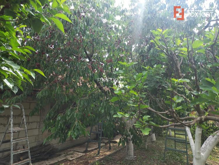 Casa individuala de vanzare in Timisoara | Potential extindere | Teren 421 mp - 7