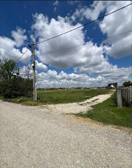 Teren Magurele 2403 mp Str Stejarului New 2025 - 4