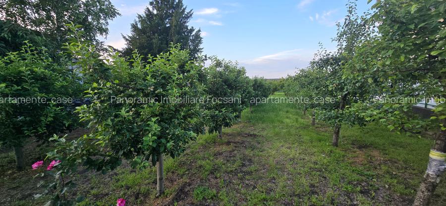 Teren d e vanzare 14000 mp , ultracentral Odobesti - 3