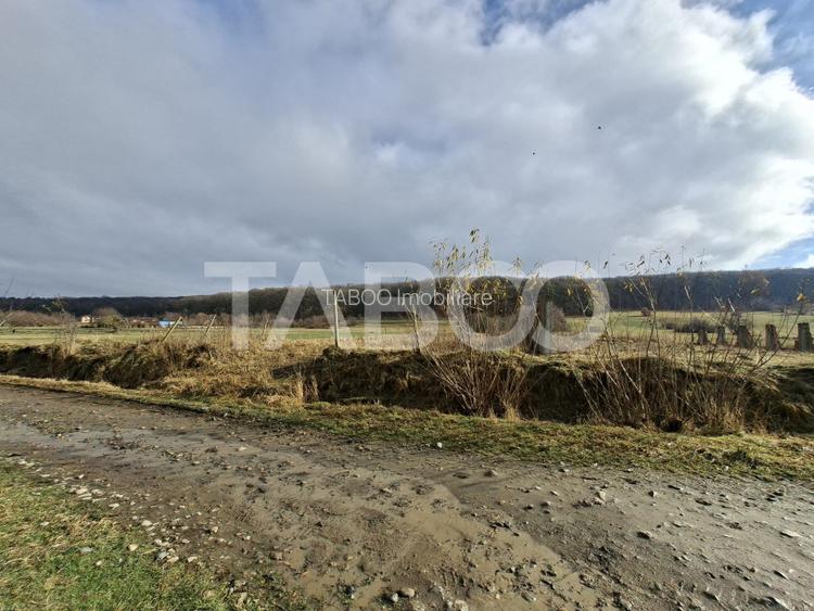 Teren intravilan de vanzare in Rasinari zona Calinis - 890 mp - 6