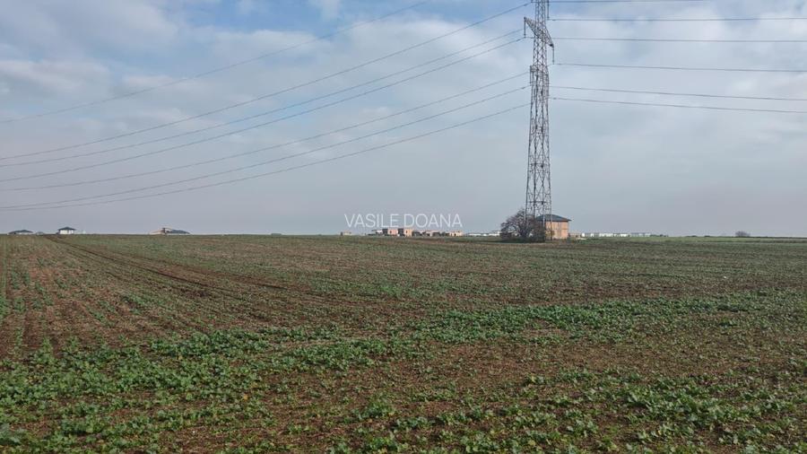 Teren construibil  extravilan , 37000 mp -com Vidra / iesire Berceni, Ilfov - 8