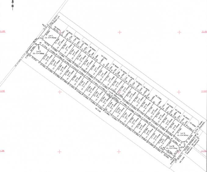 Ultimul Lot Intravilan Primaverii,  Berceni | AC - curent gaz | #EG13E - 4