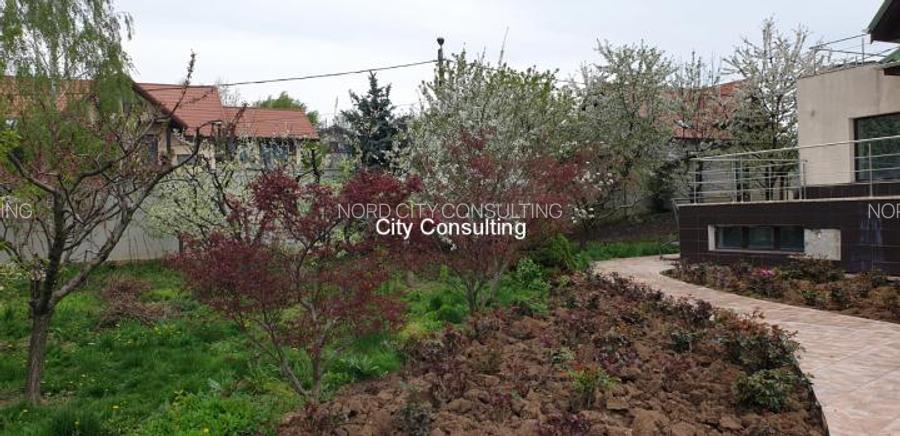 Vanzare vila Mogosoaia - Chitila Lac - 16