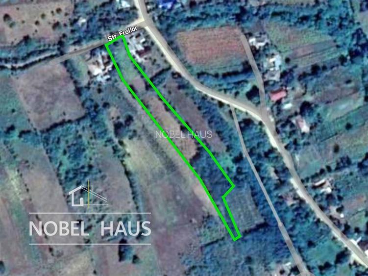 Teren 6200 mp, intravilan, sat Bogesti, comuna Pogana - 7