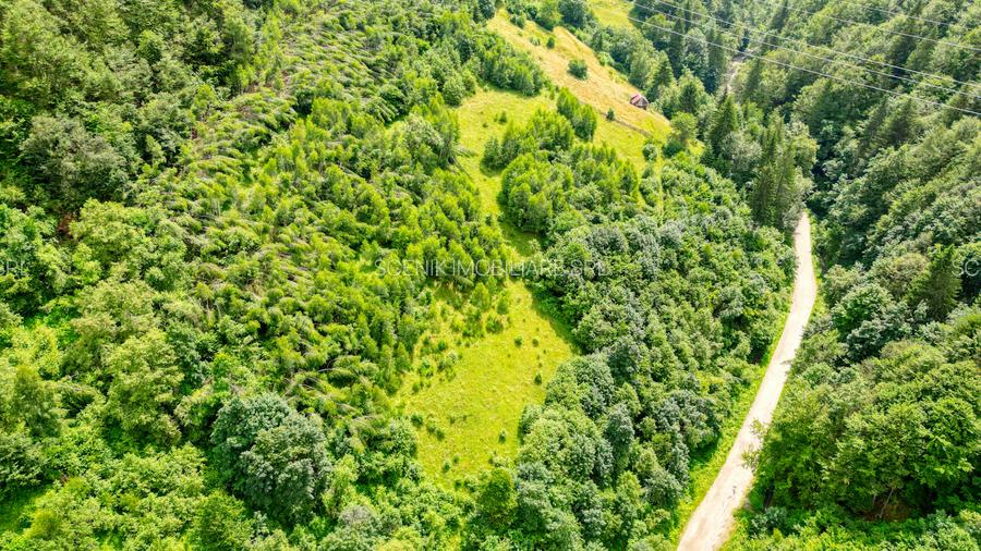 Investitie Smart in Moieciu, 3.1 ha, Panoramă 360 Bucegi - Piatra Craiului - 6