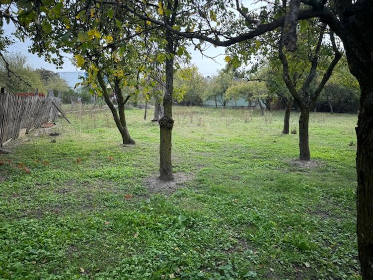 Pitesti-Stefanesti-Crama Stefanesti teren de vanzare Comiaion 0