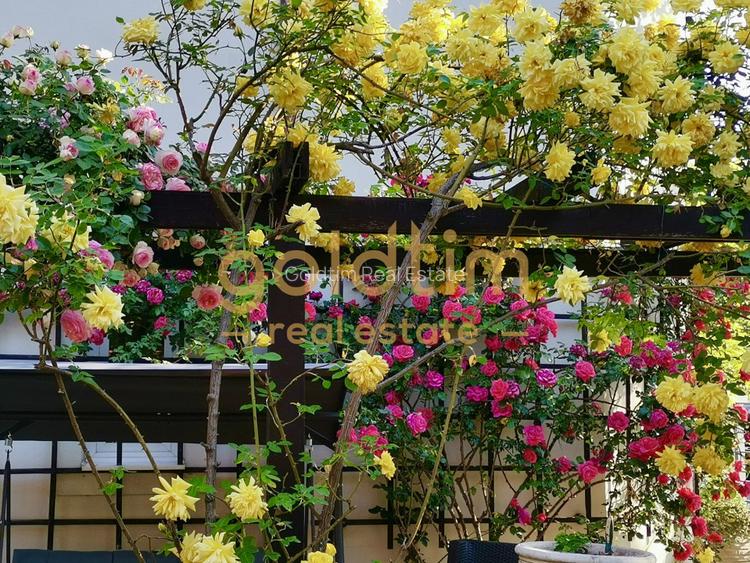 IANCU NICOLAE/ GRADINA SUPERBA/LOCURI DE PARCARE/SPATII GENEROASE - 53