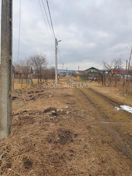 Teren Construcții extravilan de 10000 mp, în Bod - 4