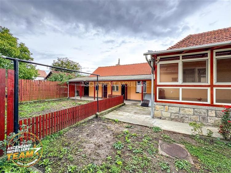 FILM&3D! Casa ospitaliera,curte si gradina asortata,arie linistita,Simeria,Sfant - 21