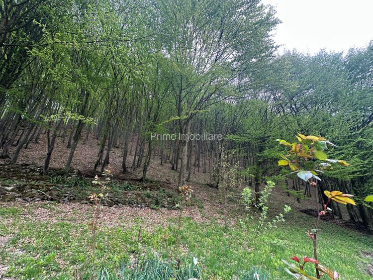 Cabana 5 camere, 75 mp| teren 900 mp| zona Iezer Ighiel - 11