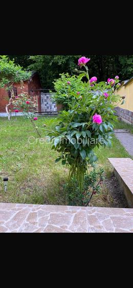 Va oferim spre vanzare o casa singur in  curte zona Racadau Brasov - 2