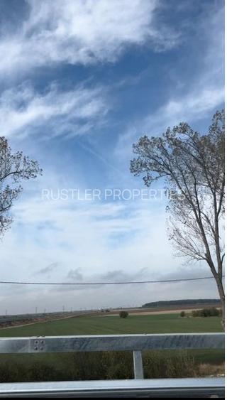 Teren Intravilan de 15.000 mp de vanzare in Ștefanestii de Jos. - 3