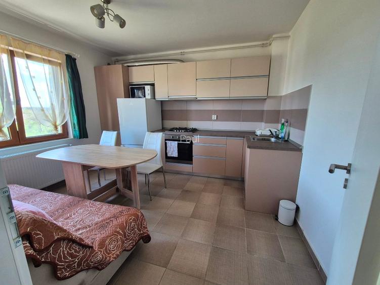 Proprietar inchiriez ap cu 1 camera - 5