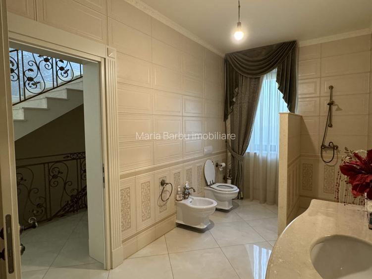 Vila S+P+1E, finisaje de lux, teren - 3000 mp, zona Platou Strehareti - 19