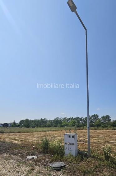 3 loturi cu suprafete de 600 mp si  deschidere de 20 in Eden Forest - 6