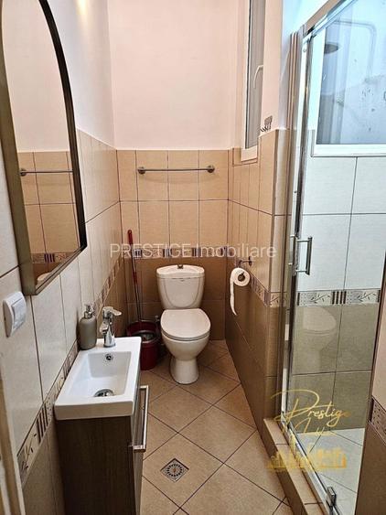 Apartament cu 4 camere de inchiriat in zona Ultracentrala - Oradea - 10