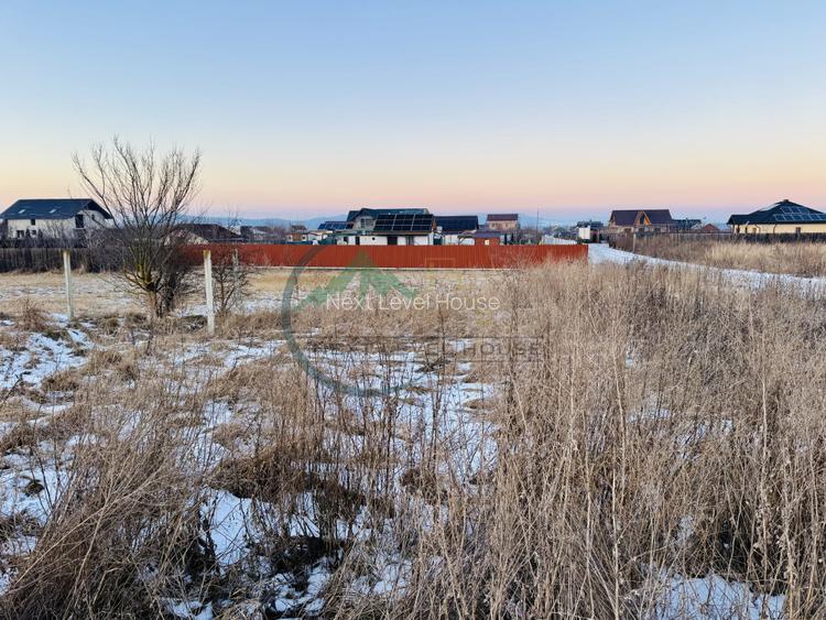 Teren Intravilan, Harman, cu autorizatie constructie si avize - 4