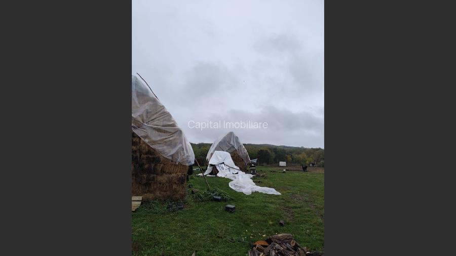 VIla de vanzare Teisani Stubeiu 11250 mp - 7