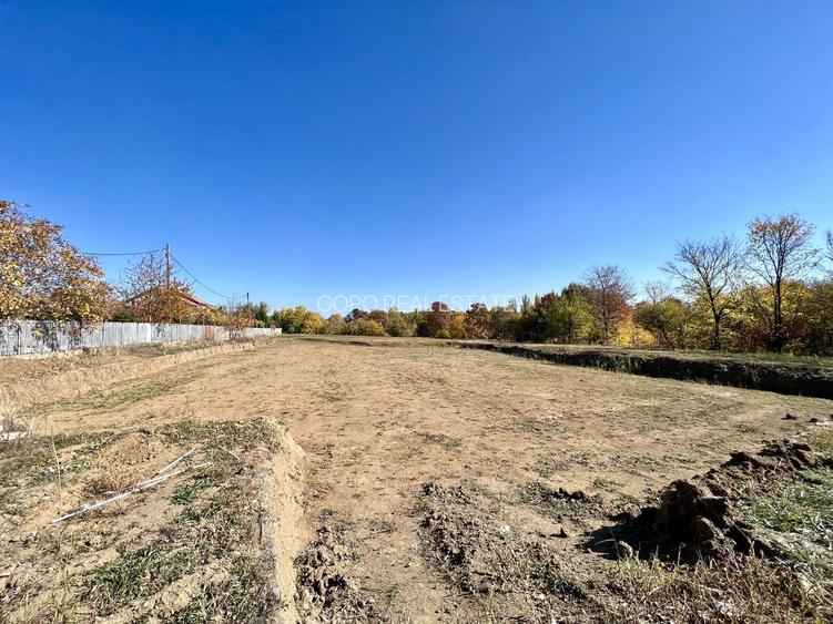 Teren 6000 mp pozitie deosebita lacul Baneasa adancime 140 m - 10