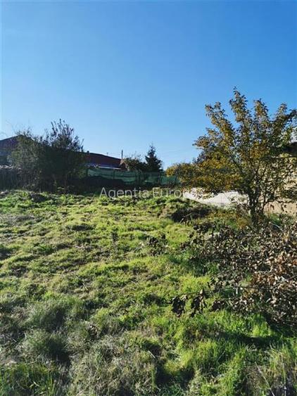 Teren de vanzare in Nifon Tulcea - 4