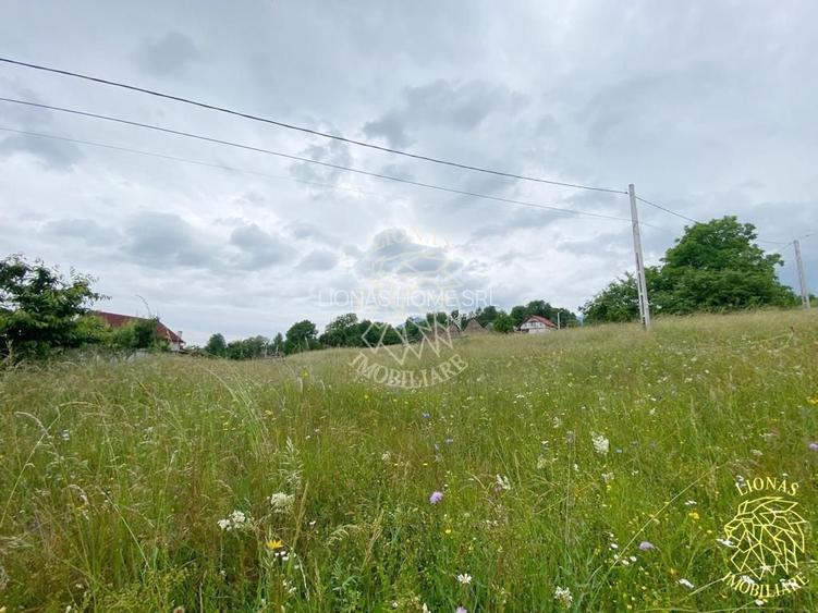 Teren Intravilan 3093 mp-ideal case/cabane/pensiune-Bistrita Bargaului - 2