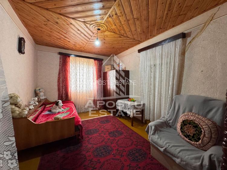 Casa batraneasca + Constructie la rosu, in sat Pesac, judetul Timis - 32