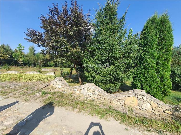 Teren intravilan Sacel -zona lacuri -ultimul lot de 900mp - 21