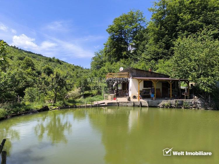 Casa de vacanta, cu lac, 5640 mp teren, Huta, com. Chiuiesti, jud. Cluj - 2