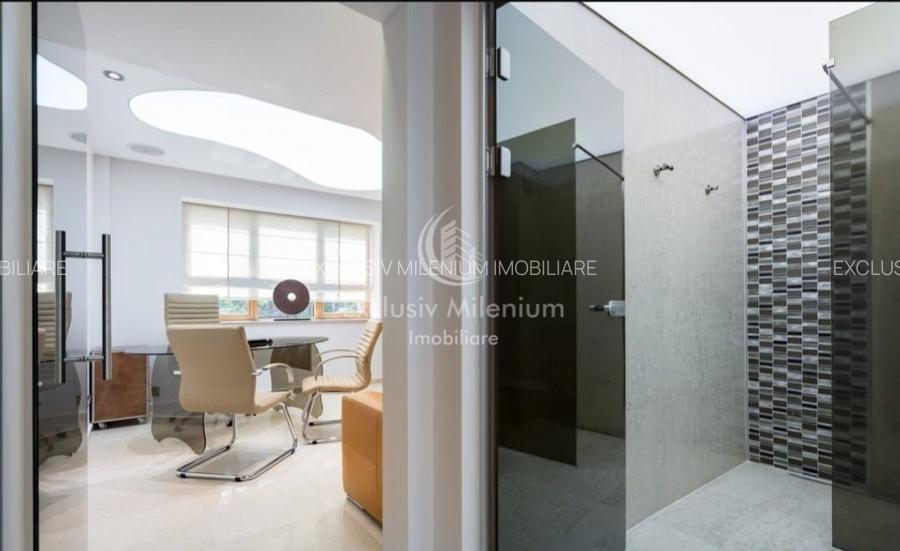 Vila/Casa Clinica /Salon de infrumusetare Lacul Tei  /Parcul Circului birouri  - 17