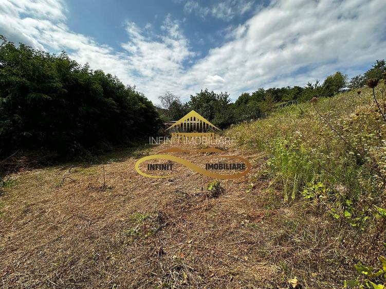 Teren extravilan 1870 mp-de vanzare 14€/mp Sohodol / Bacau - 3