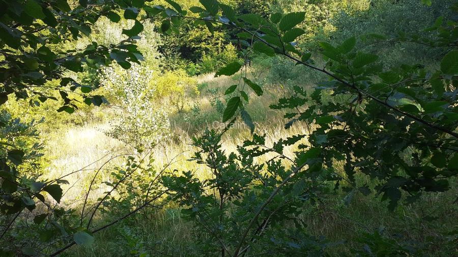 Proprietar vand  parcela pentru cabana de vacanta,   doar 6500 euro - negociabil - 6