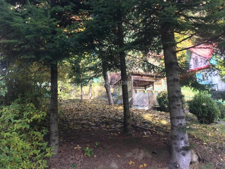 Casa si teren 1000 mp - zona deosebita, pe Furnica, langa Peles - 6