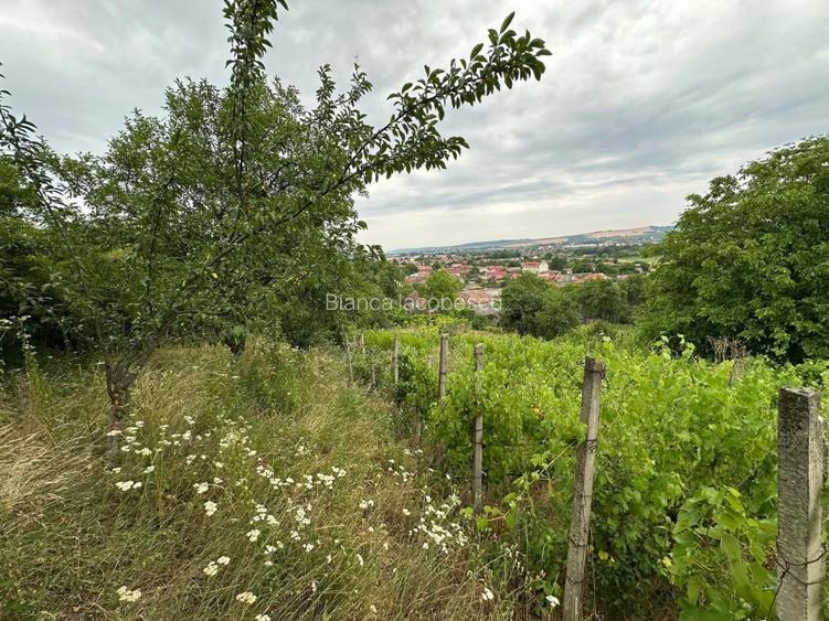 Casa 4 camere + teren 7500 mp - 12