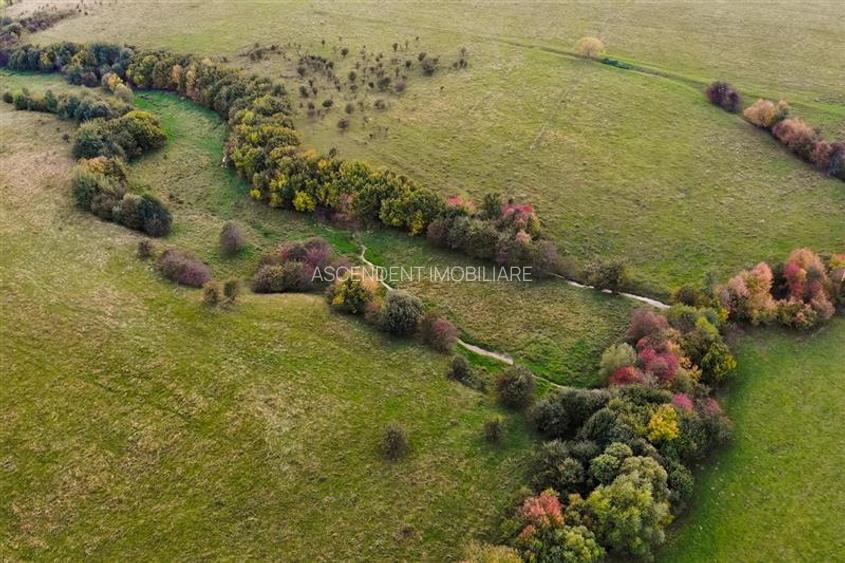 FILM! Parcela imprejmuita,design casa,aviz constructie,1.085 mp,Panicel,Rasnov - 16