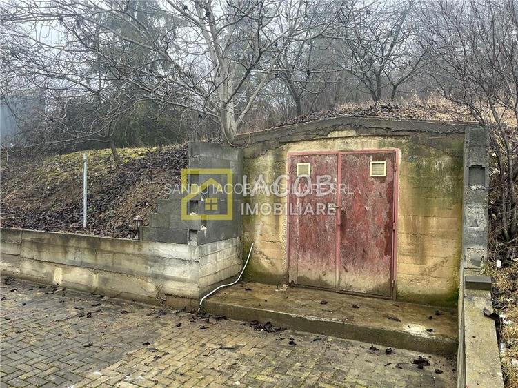 Vila P+M, 1150 mp teren, comuna Magura, jud. Bacau - 12