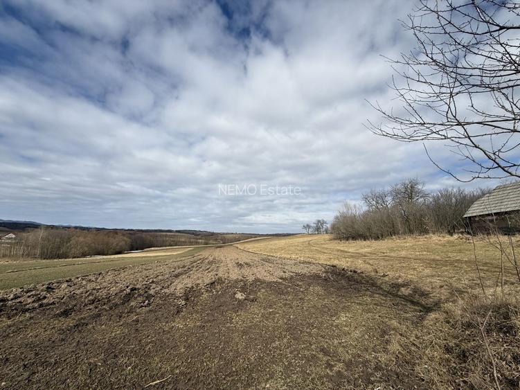 Teren intravilan | 16 ari | Horodnic de Jos – zona Călugărița - 4