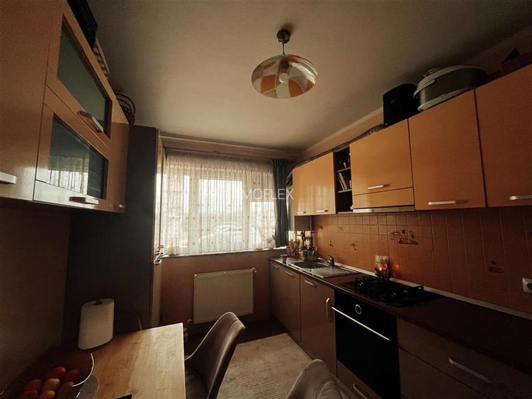 Apartament 2 camere zona George Enescu(Cartodrom) - 12