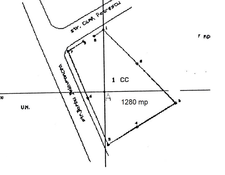 (335) Teren Poiana Soarelui, Pitesti - 3