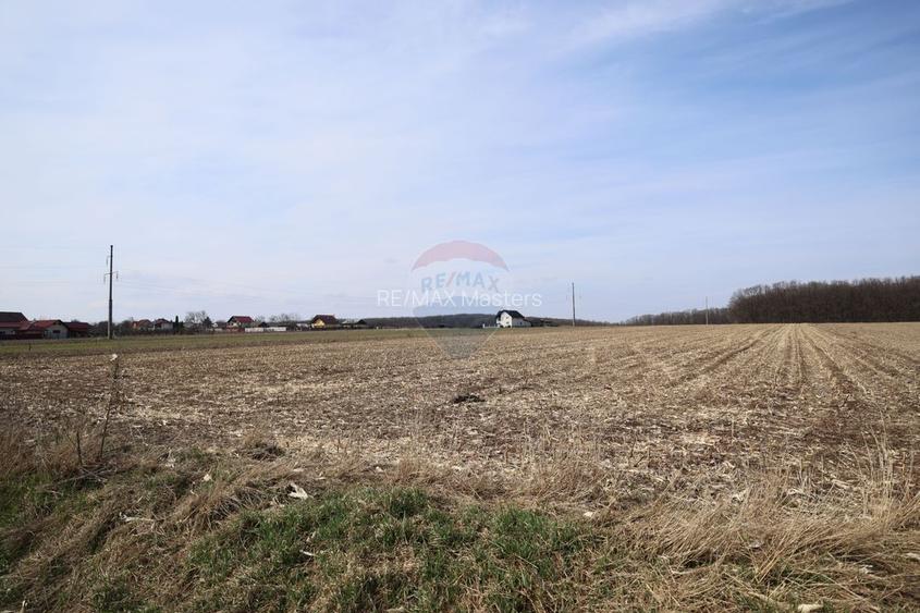 Teren 9,740mp Suceava / Strada Principala - 8
