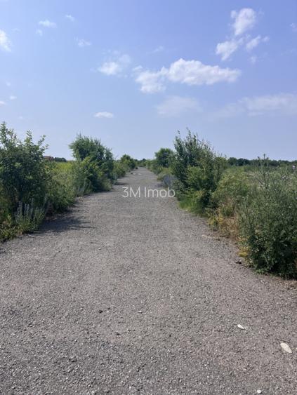 Teren De Vanzare - Oportunitate Investitie - Pretabil Hale/Cartier Rezidential - 5