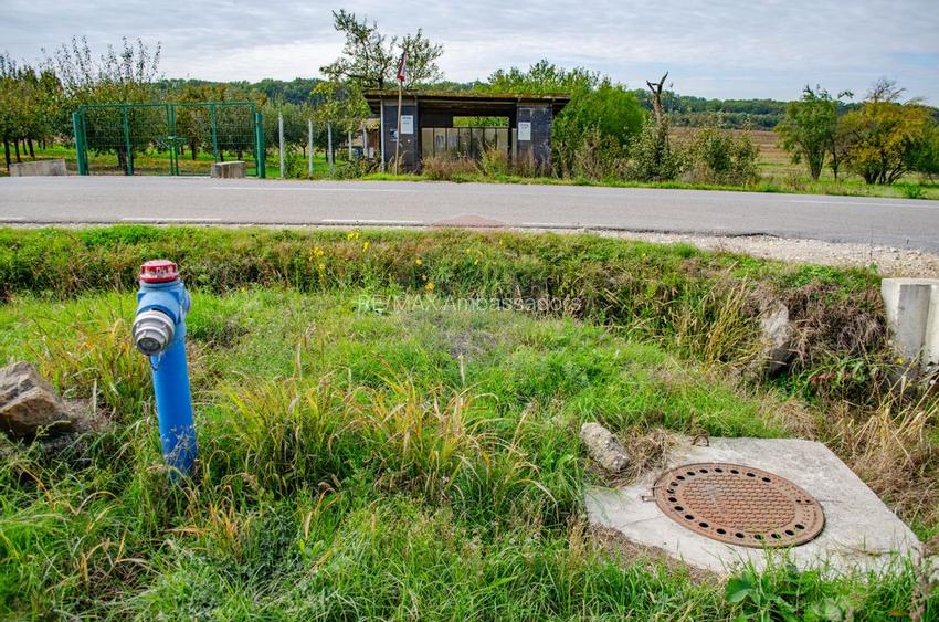 De vânzare teren cu livadă in Sârbova! - 11