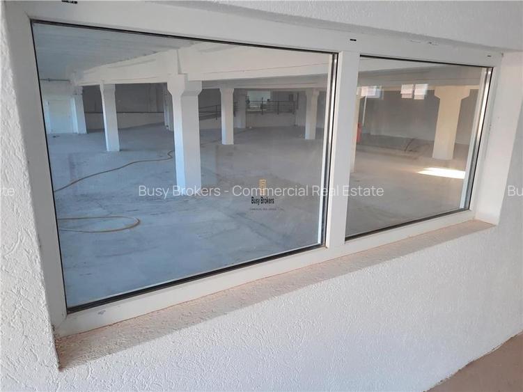 Spatiu Industrial - 1000 mp - Productie - Depozitare - 6