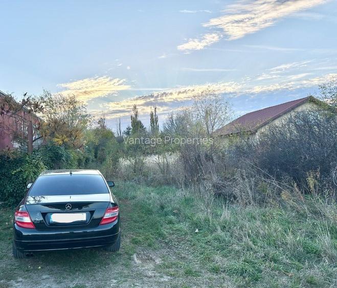 1007mp teren Peris, deschidere 14ml - 3