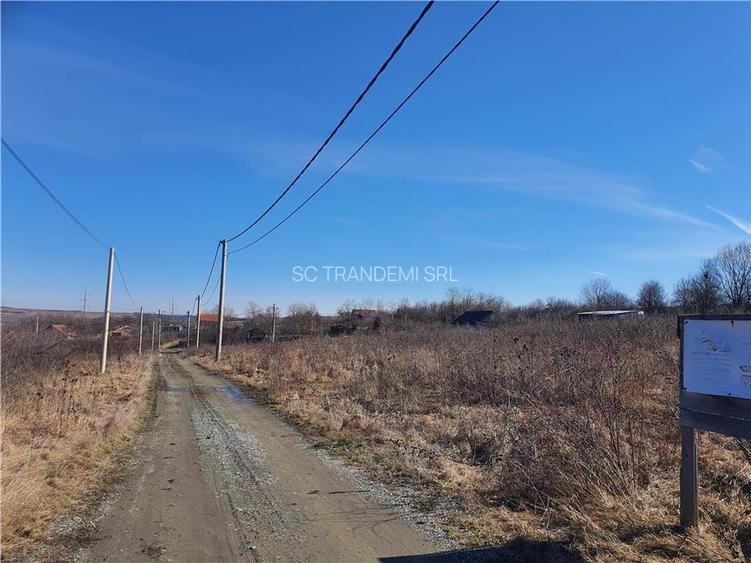 Loturi de la 430 la 480mp teren intravilan pentru contructii - Daia Nouă - 3